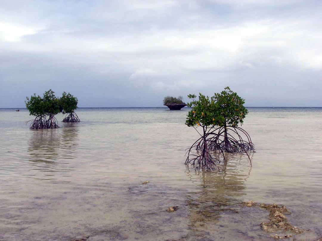 Mushroom Rock-莫阿尔博阿尔必去景点