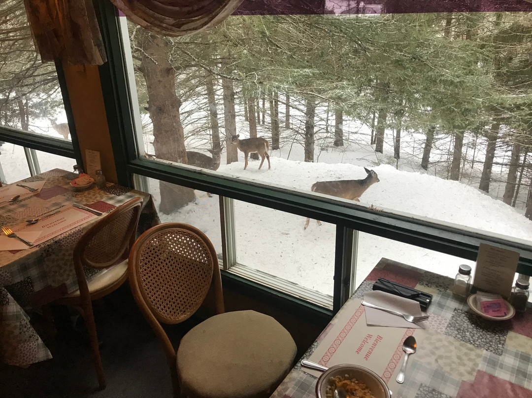 Auberge Mountain View Inn主图