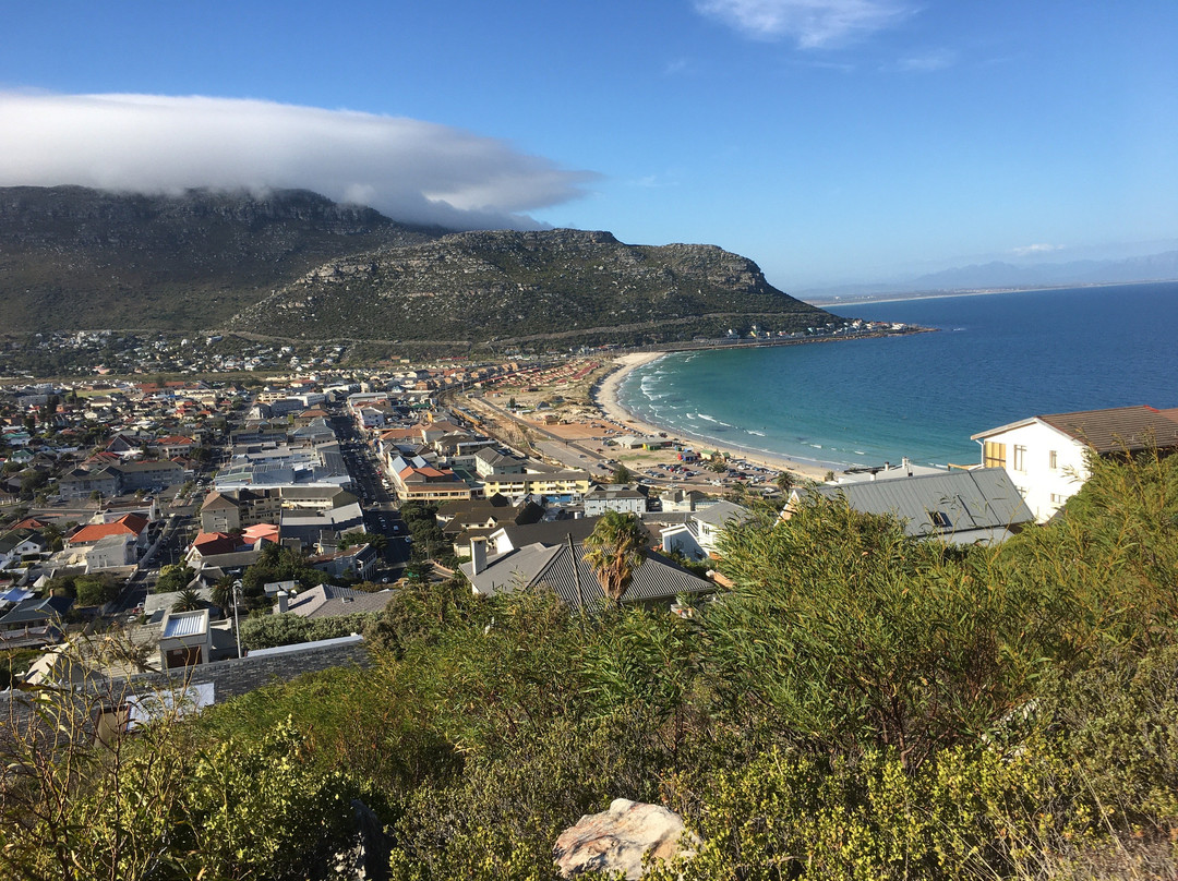 Off The Grid 177主图