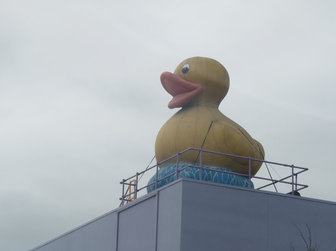 儿童发现博物馆-圣何塞必去景点