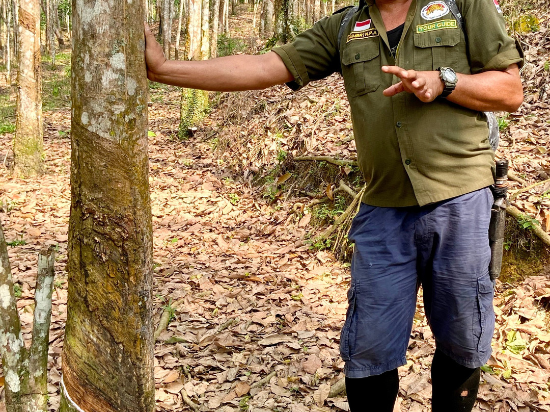 Tambrin trek-武吉拉旺必去景点