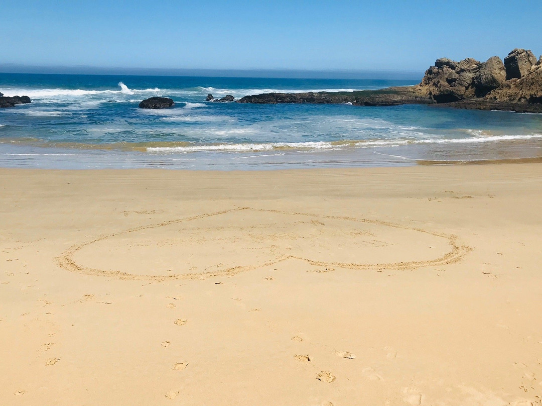 The House Quarters主图