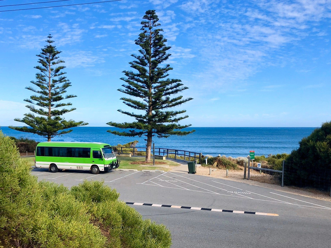 The Avocado Bus - Bus and Driver Service!景点图片