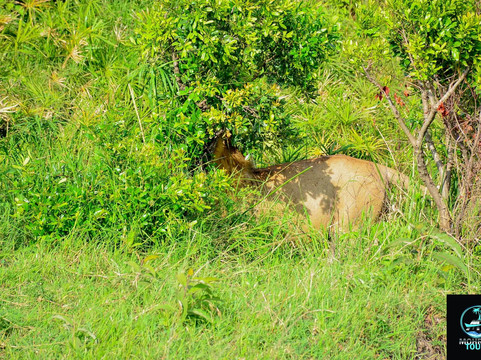 MOHRALE TOURS $ TRAVEL-Eldoret必去景点