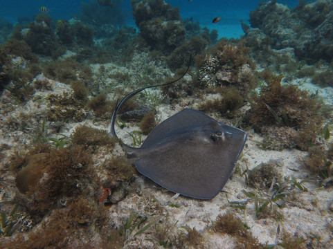 Caribe Extremo-圣安德烈斯必去景点