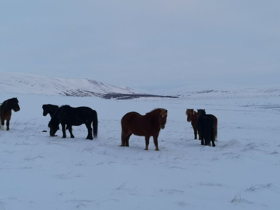 Aldeyjarfoss-米湖必去景点