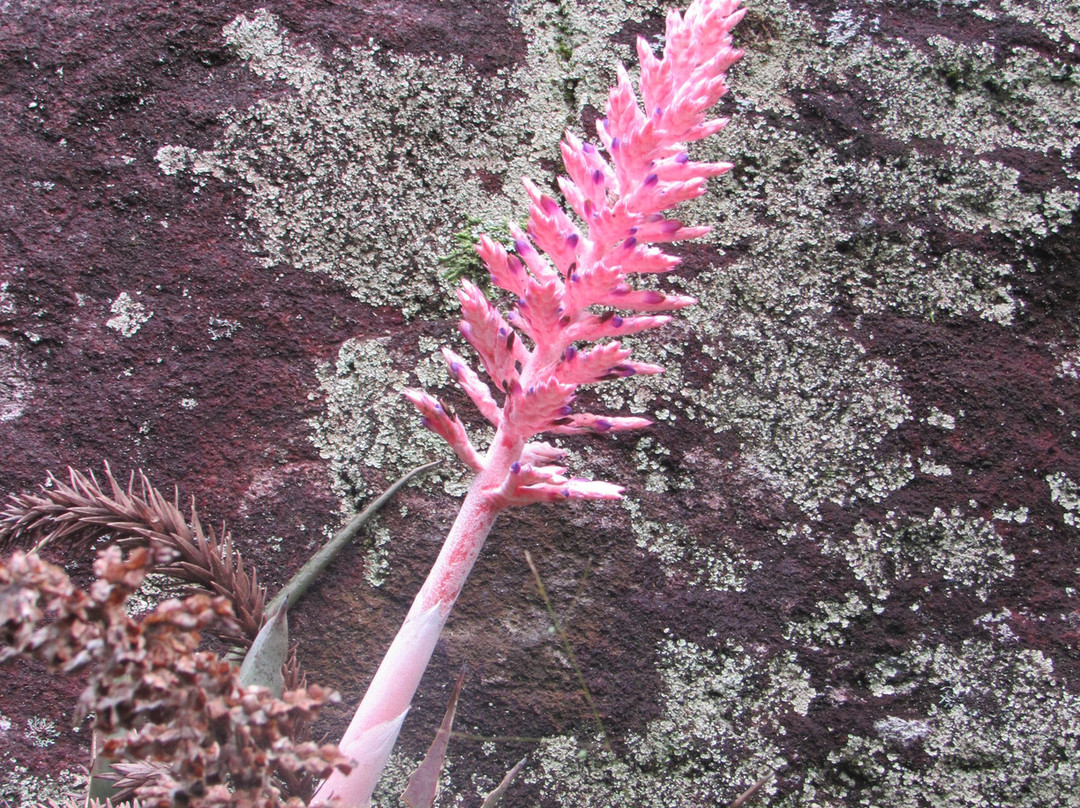 Cachoeira das Fadas-Aiuruoca必去景点