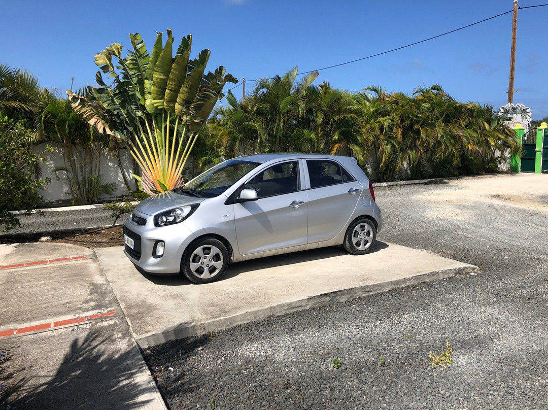 La Palmeraie Doree主图