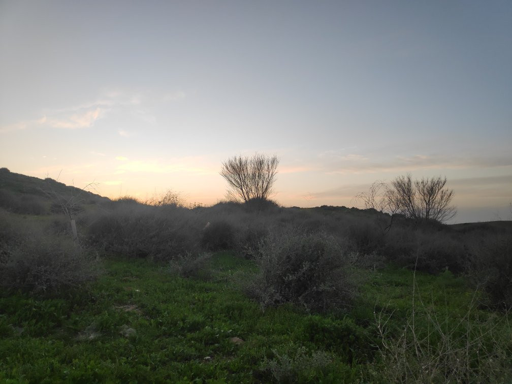 Joe Alon Center-Lahav必去景点