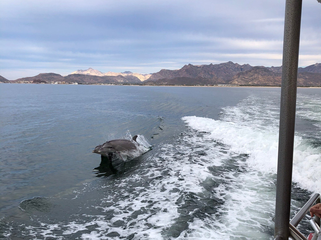 Gary's Dive shop-圣卡洛斯必去景点