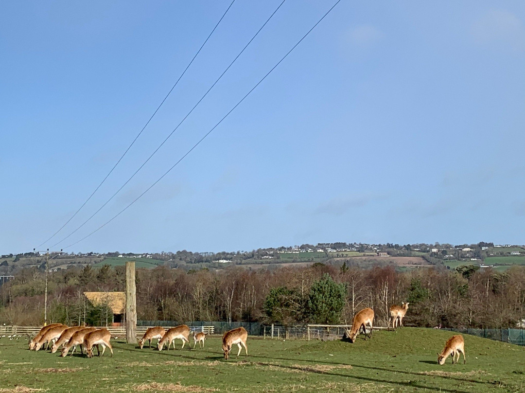 Fota Island Adventure-Fota Island必去景点