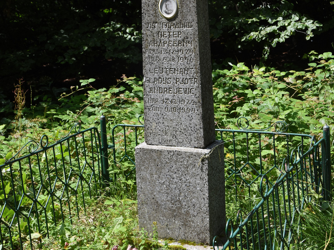Gladysz's grave景点图片