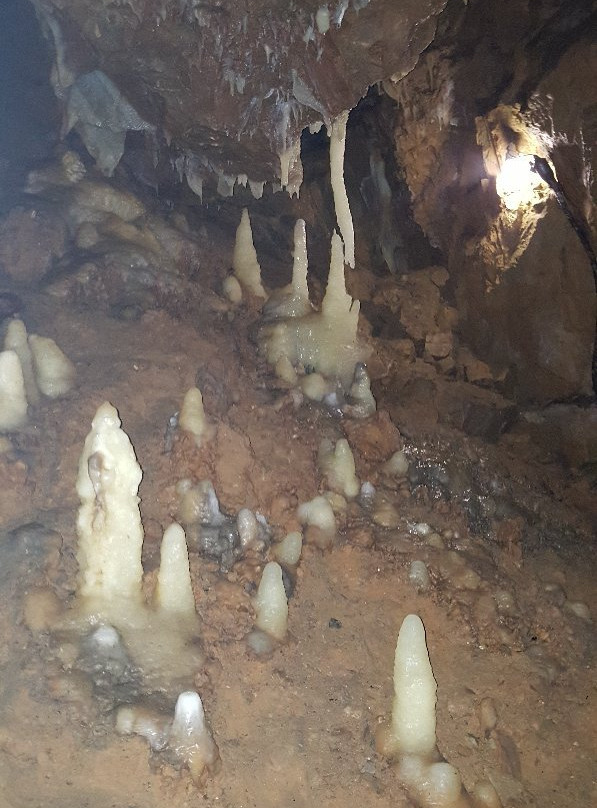 Grotte De Dinant La Merveilleuse景点图片