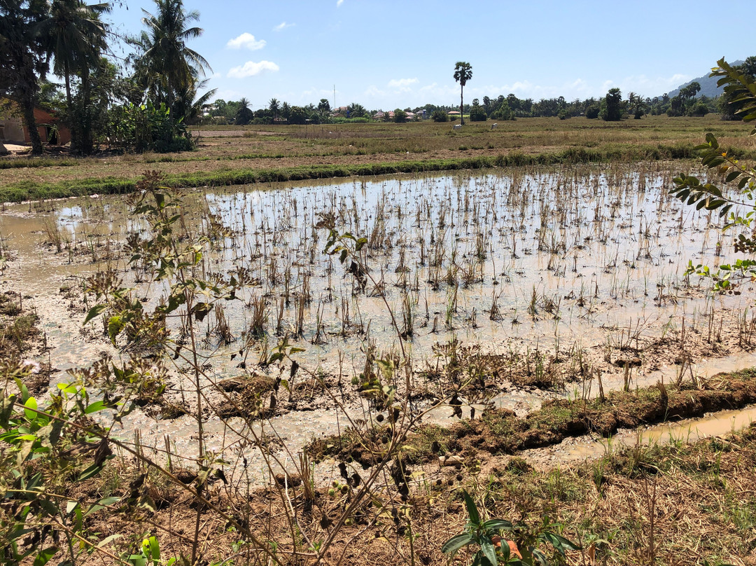 Angkul Beach-白马必去景点