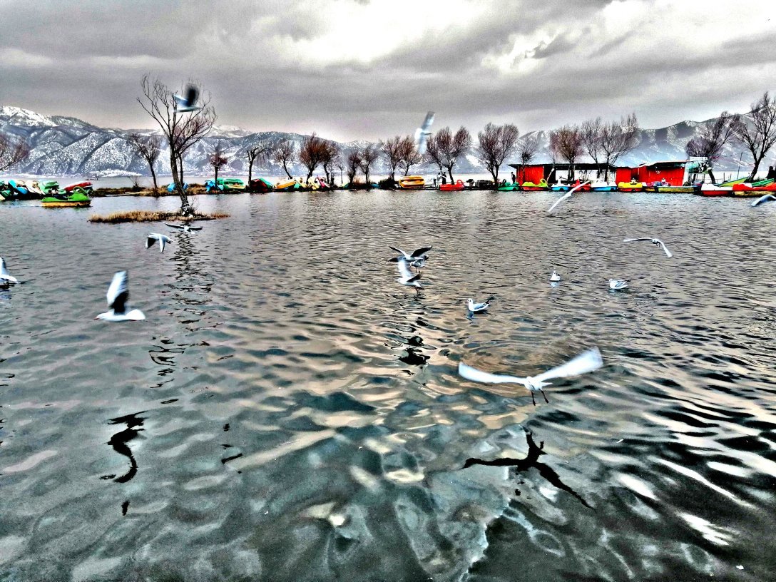 Zarivar Hotel-官方