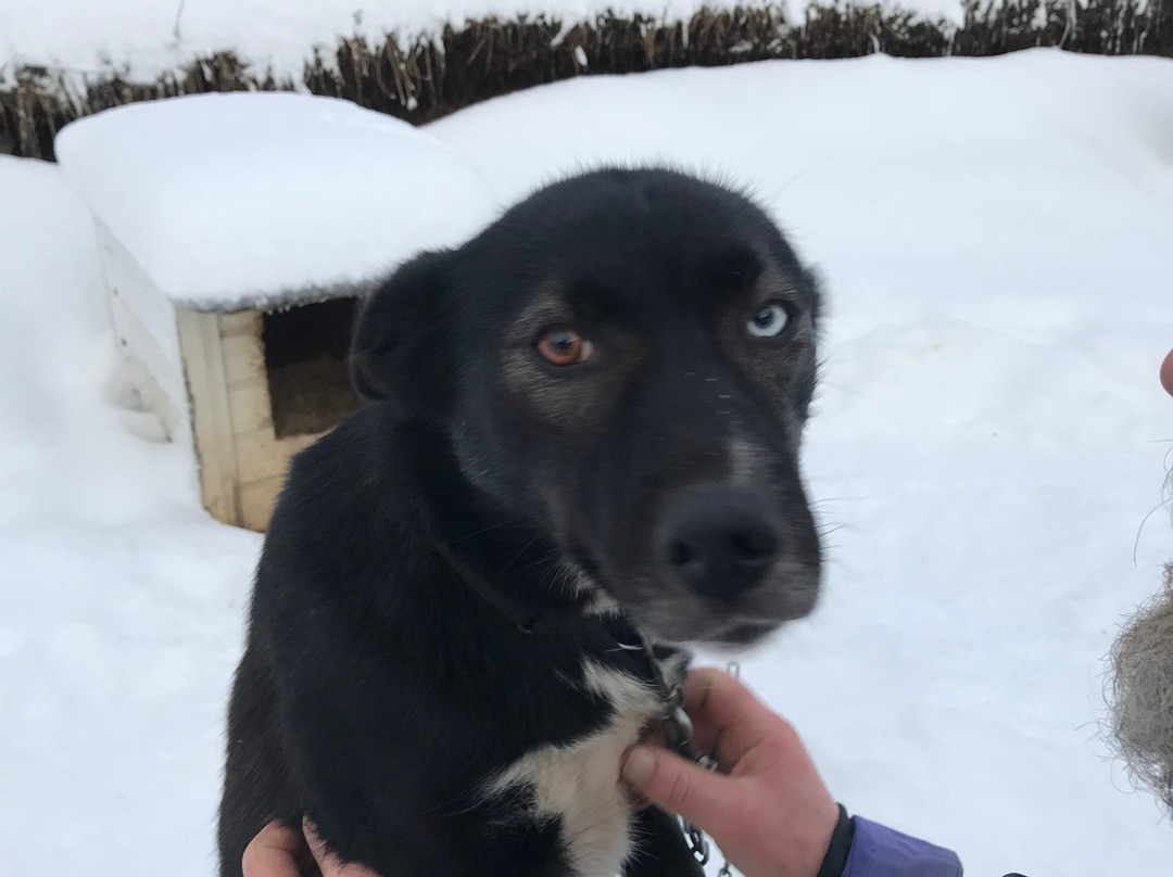 Sortland Villmarkssenter-Sortland必去景点