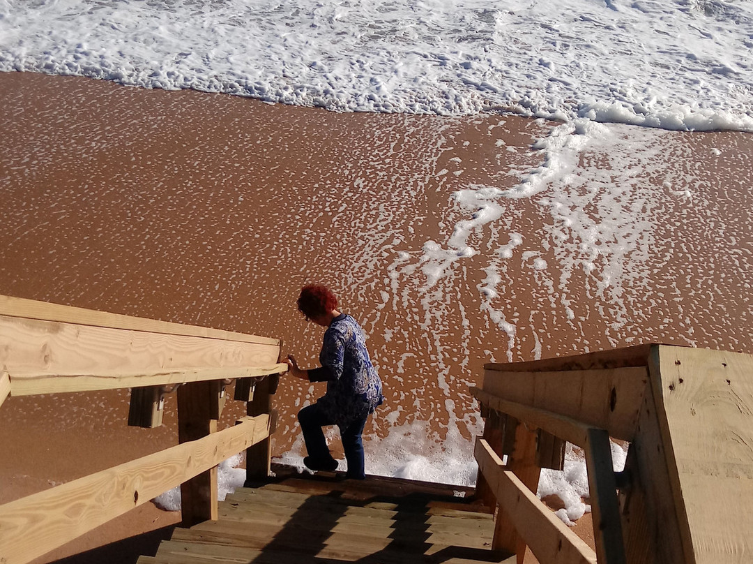 Si Como No Inn主图