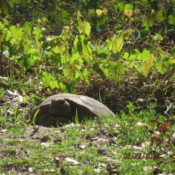 General James A. Van Fleet State Trail-Polk City必去景点