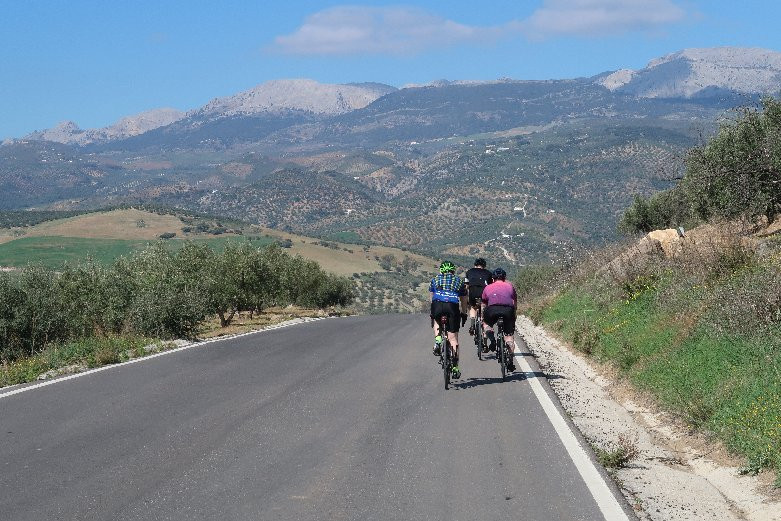 Cycle Malaga景点图片