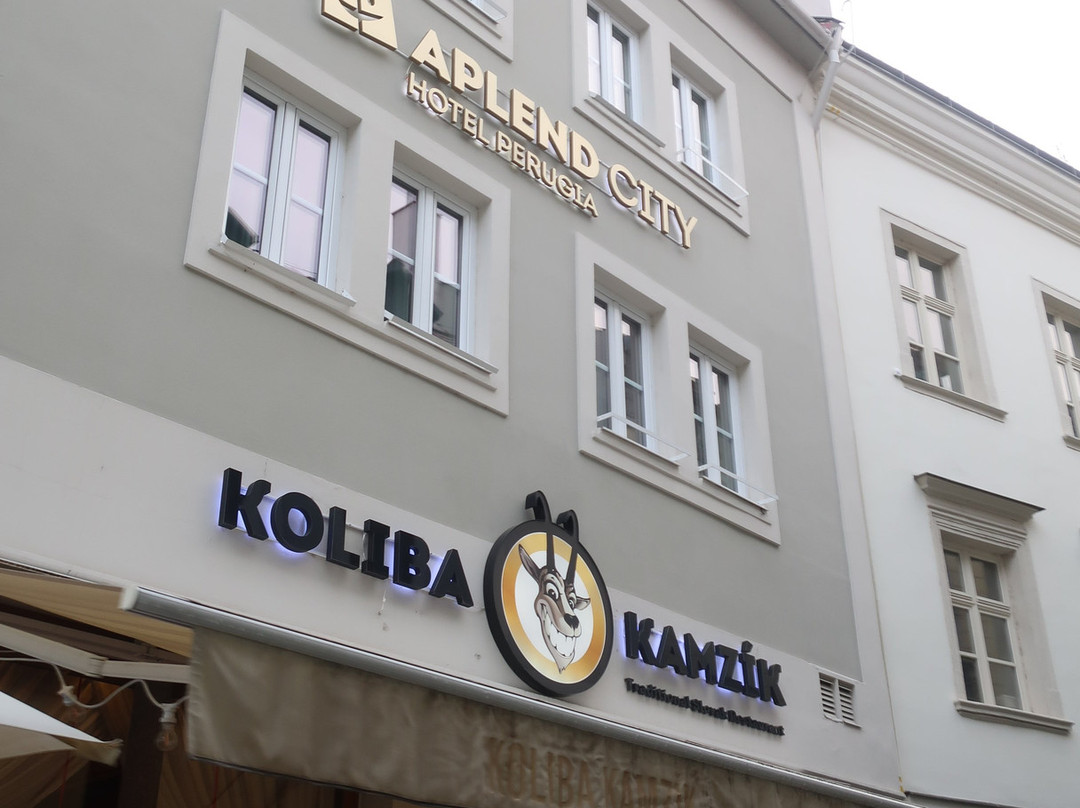 APLEND CITY Hotel Perugia主图