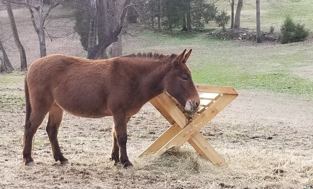 Cedarock Park-伯灵顿必去景点