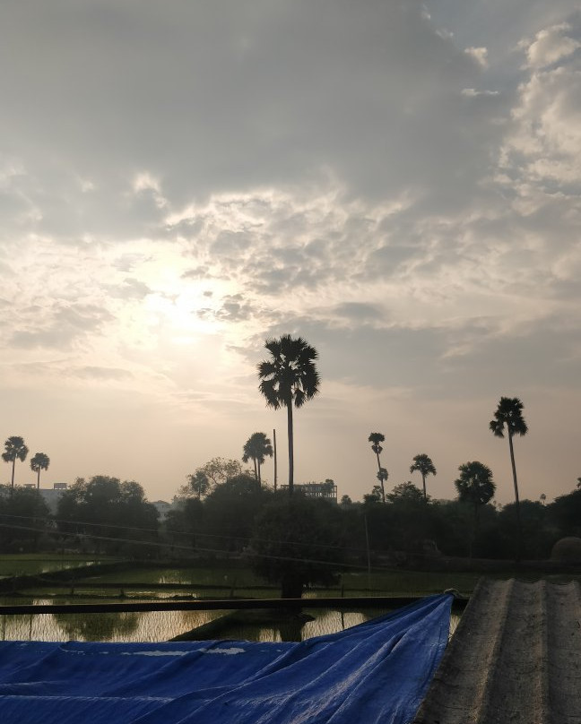 Summer Green Resort主图