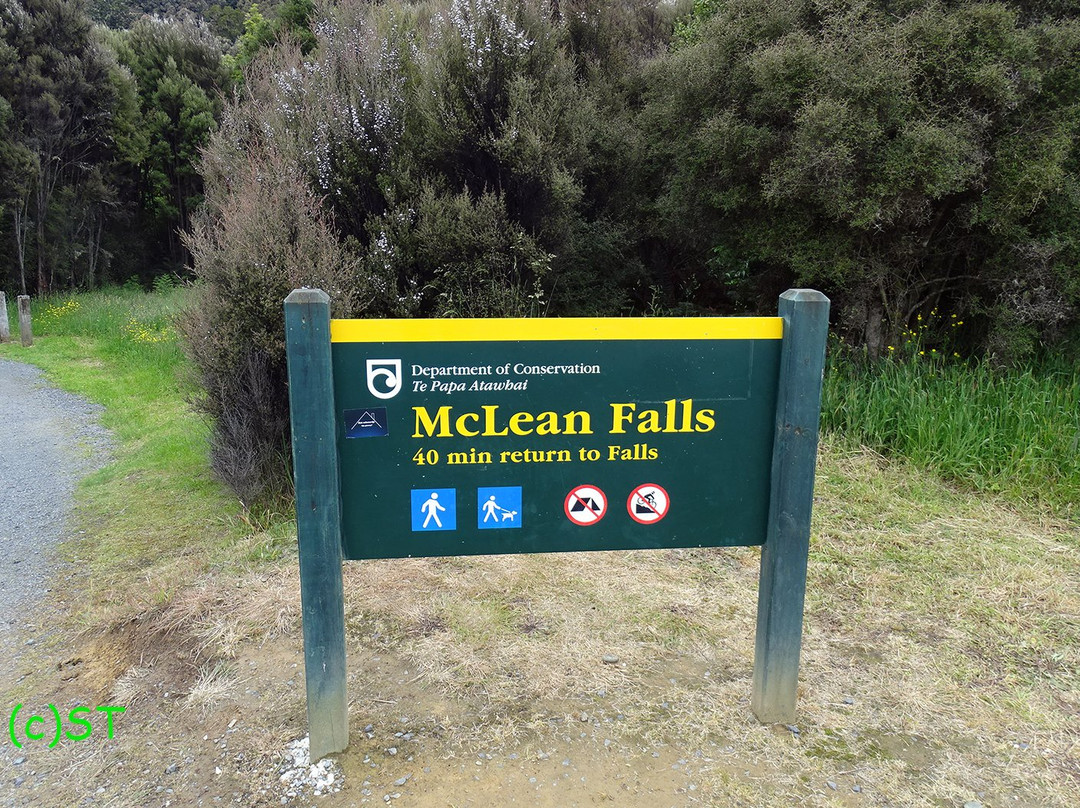 McLean Falls Walk景点图片