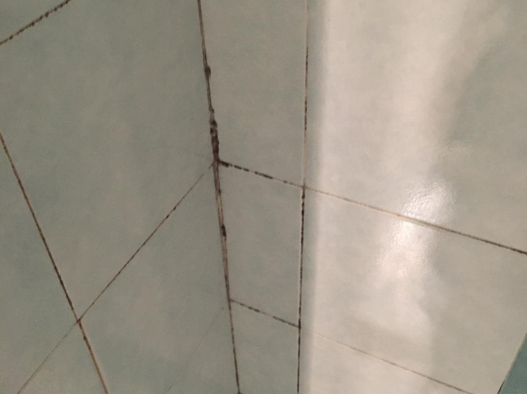 Lady B Bed & Breakfast主图