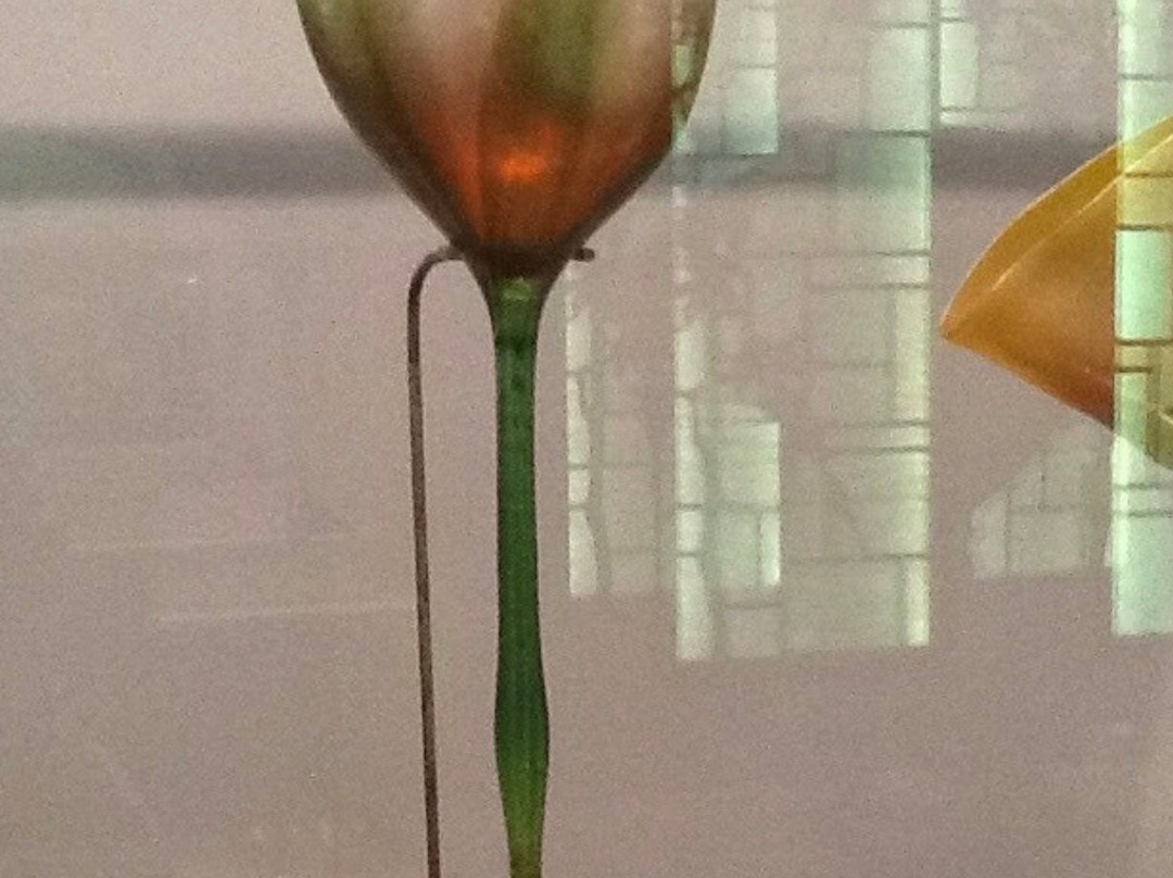 密歇根大学艺术博物馆-安娜堡必去景点