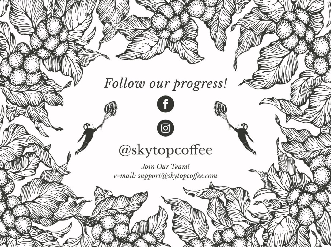 SkyTop Coffee