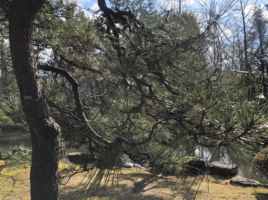 Hakusan Park景点图片