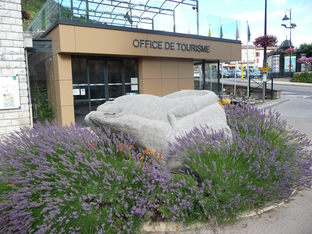 Office de Tourisme Sisteron Buech - Bureau de Sisteron景点图片