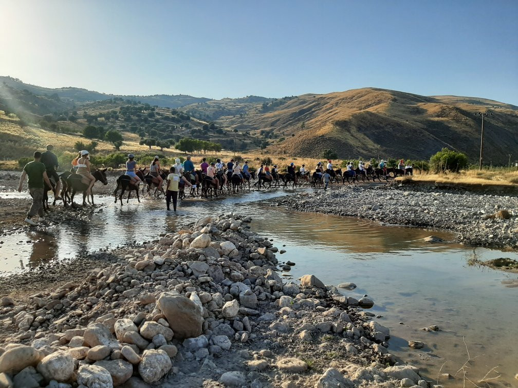 Argonaftis Tours - Kelokedara Donkey Farm景点图片