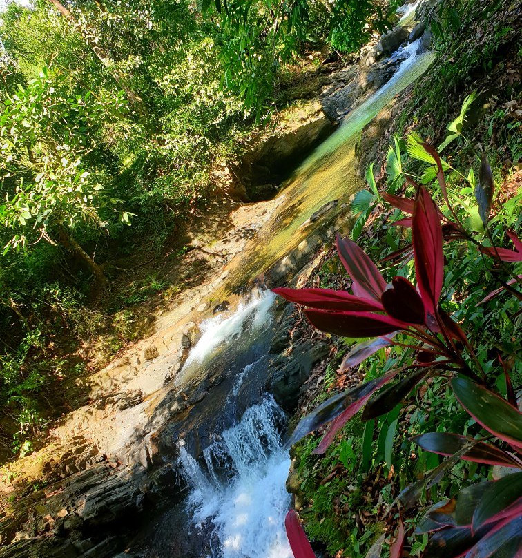 Cascada El Pavon景点图片