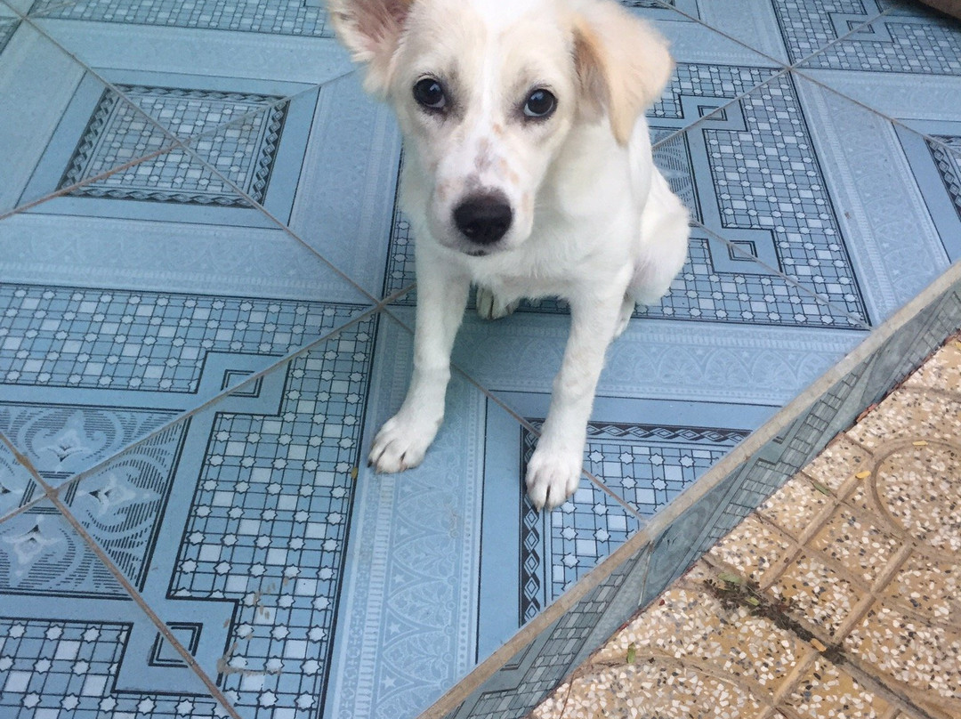 Cat Tien Guesthouse主图