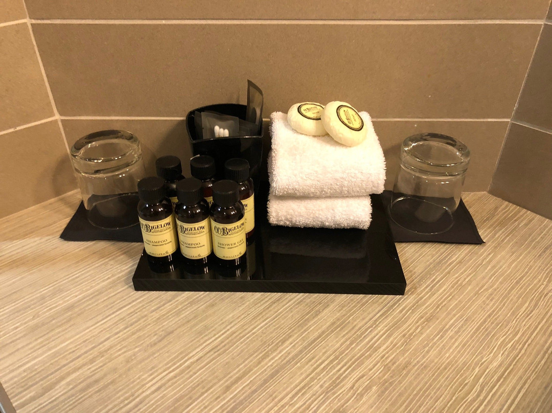 图卢兹 JdV 凯悦精选酒店