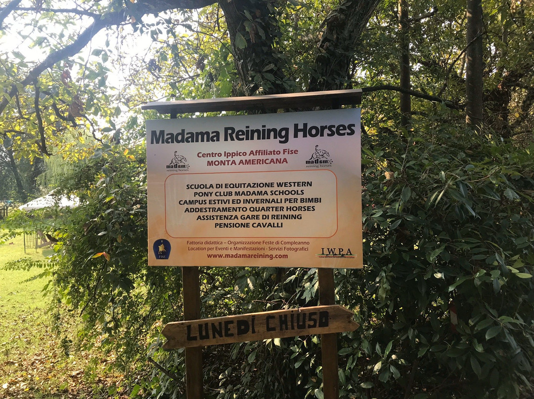 Madama Reining Horses景点图片
