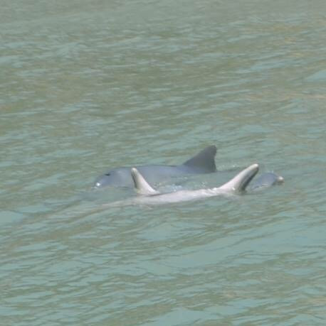 Pipa Aventura-Tibau do Sul必去景点