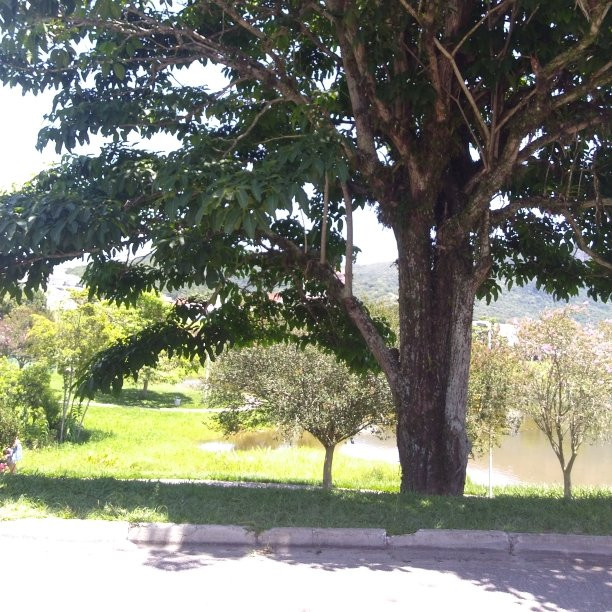 Passeio Pedra Branca景点图片