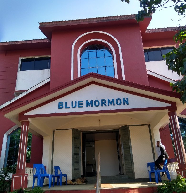 Blue Mormon Jungle Holiday Resort主图