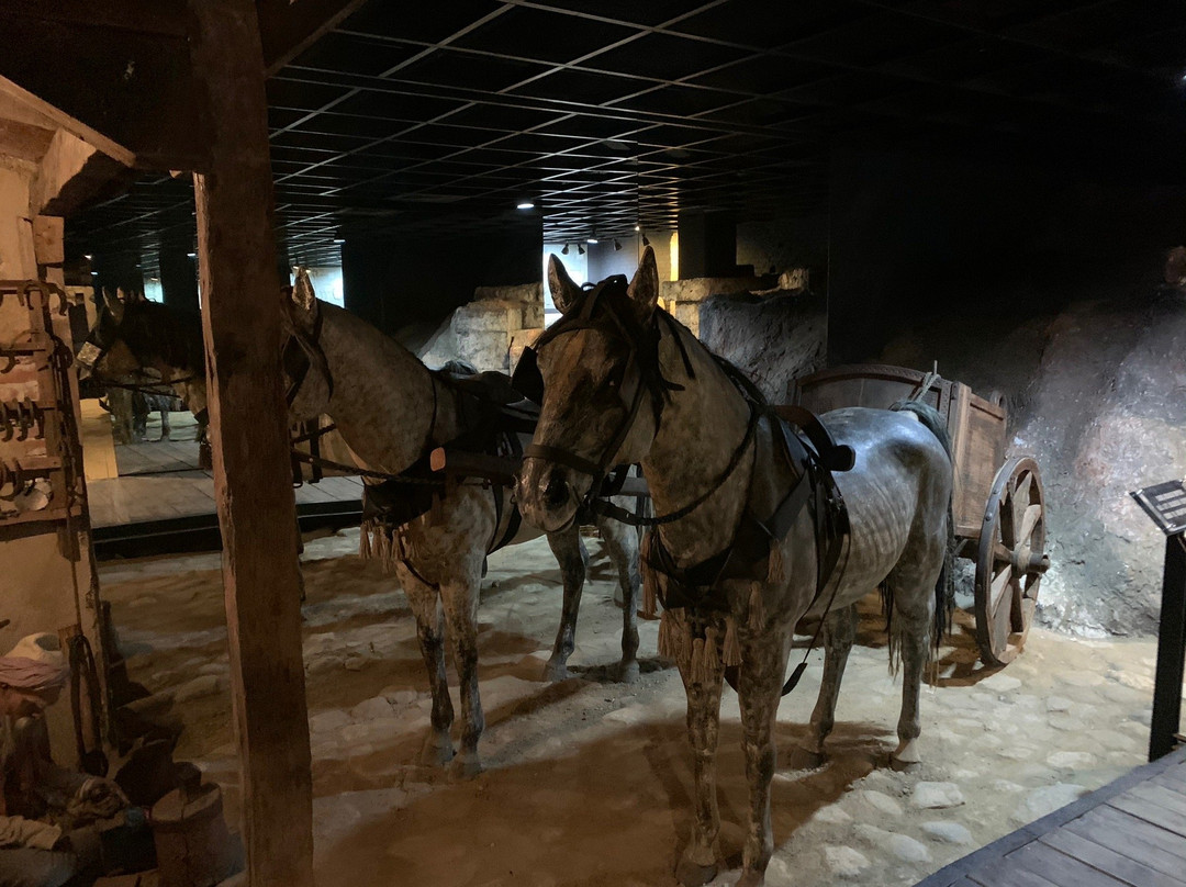 Tofas's Bursa Museum Of Anatolian Cars景点图片