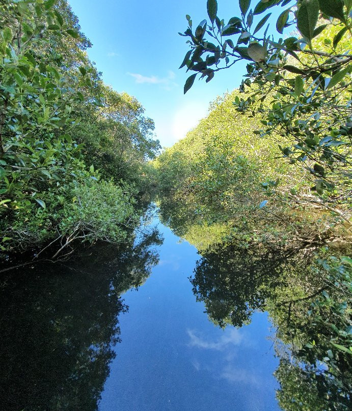 Kooloonbung Creek Nature Park景点图片