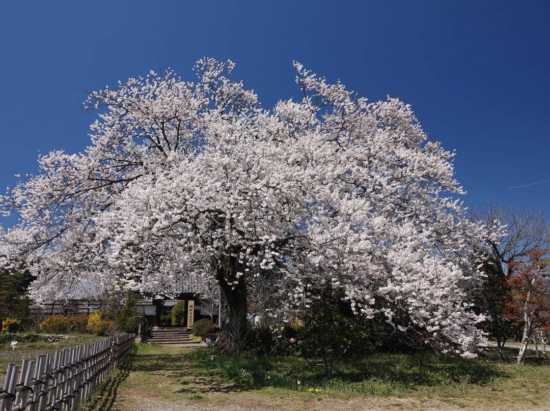 Shogenji Temple-高森町必去景点