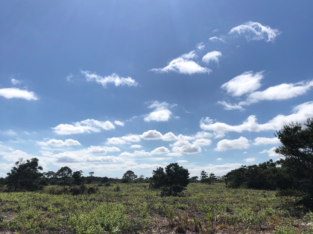 Riverwalk-朱庇特必去景点