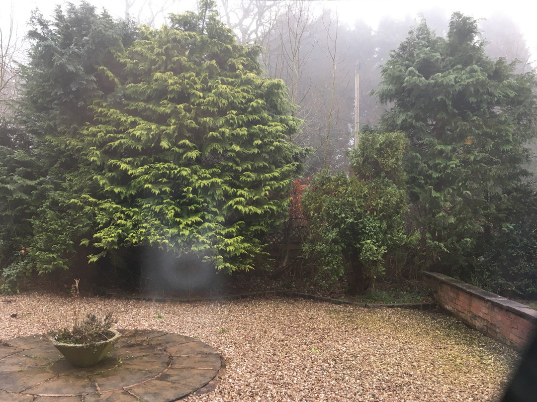 Laburnum Cottage Guest House主图