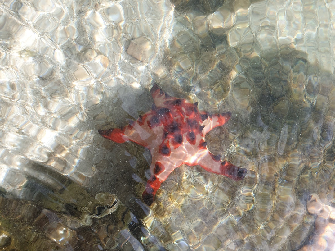 Coco Beach Resort主图