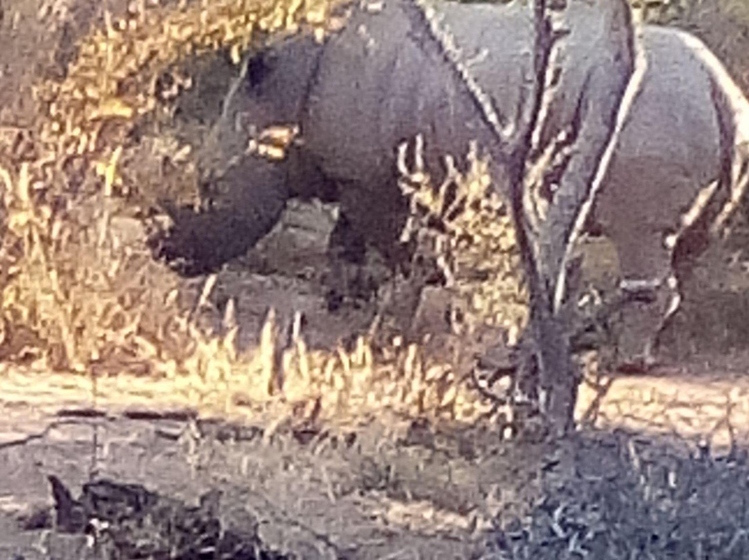 KML Shuttle Services-桑顿必去景点