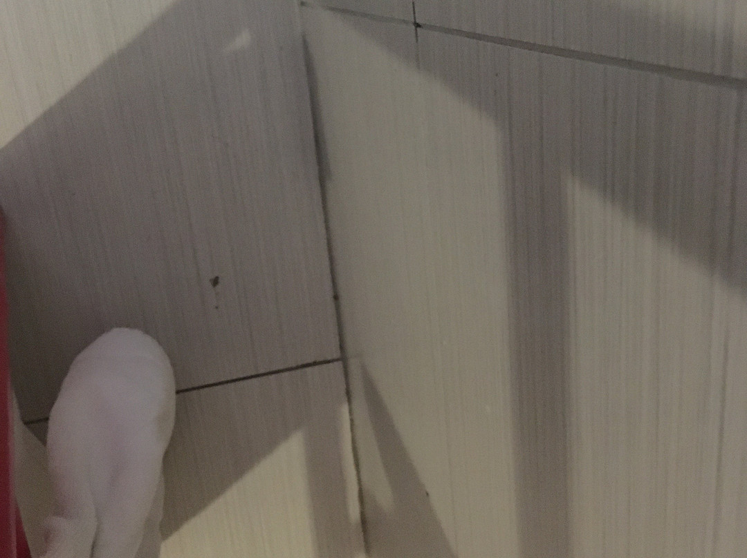 The Delight Swakopmund主图