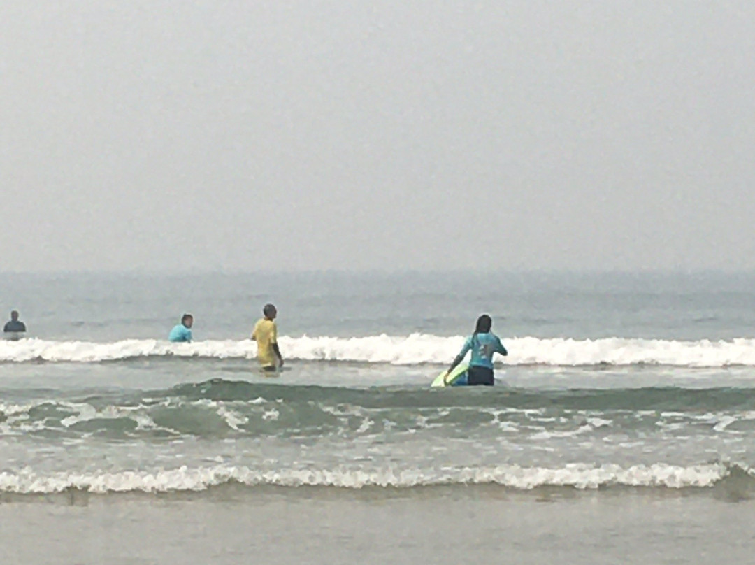 Surf Trax景点图片