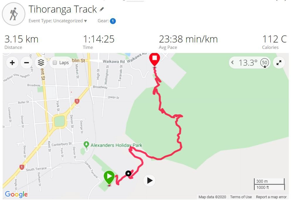 Tirohanga Track景点图片